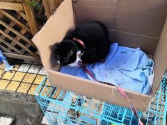 -艾加柒克蛋糕茶歇甜品台(春熙路店)