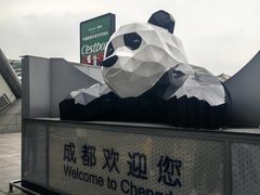 -双流老妈兔头(总店)