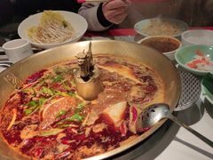 -小龙翻大江文化火锅(宽窄店)
