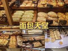 -小飞象面包公社(珠江路金鹰店)