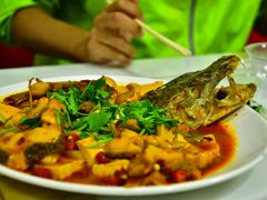 -煲来饱去冷水鱼