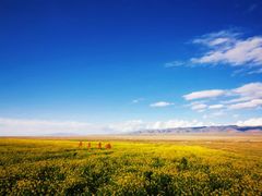 -青海湖国家重点风景名胜区
