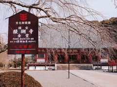 -醍醐寺