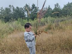 -清真·古丽花儿·新疆美食(河南路店)