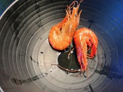 -达叔香味海鲜(海棠68环球美食街店)