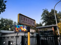 -三里屯东五街银杏大道