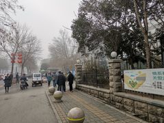 -山东省立医院(中心院区)