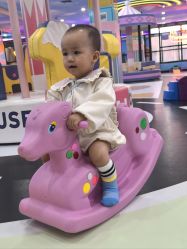 -胜利乐园(胜利购物广场店)