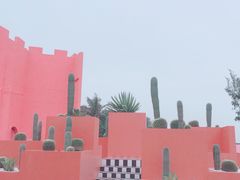 -漳州滨海火山岛自然生态风景区