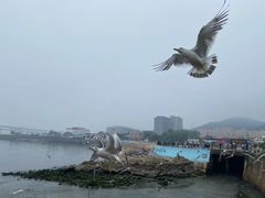-黑石礁公园