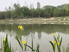 -永定河休闲森林公园