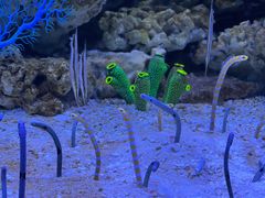 -成都浩海立方海洋公园