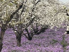 -江苏三台山国家森林公园