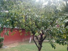 -洛阳周公庙博物馆