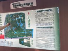 -共青国家森林公园-售票处