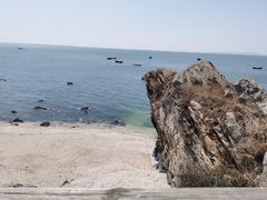 -大连金石滩滨海国家地质公园