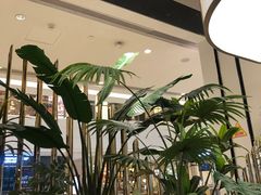 -KingThaia金泰兰(滨江天街店)