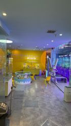 点击看大图 -神奇动物撸宠馆·羊驼·小浣熊·异宠(豫园店)