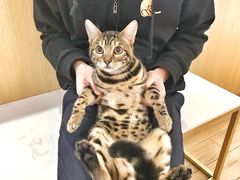 -Double Rui宠物酒店