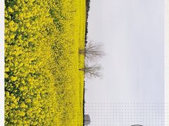 -西海岸生态观光园