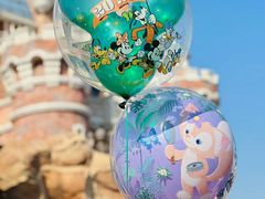 -上海迪士尼度假区