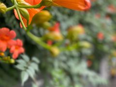 -浙江大学医学院附属第二医院(解放路院区)