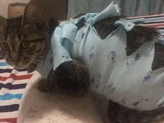-美迦爱-牙专科·兔科·骨科诊疗中心(北苑店)