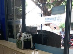 -芭比堂动物医院(广州爱宠下渡路分院)