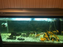 -智慧盲人按摩艾灸-颈肩腰膝疼痛调理(浦东店)