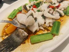 -侨美·唐荔园·40年地道粤菜