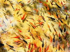 -水上乐园·欢乐世界