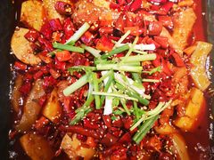 -鸡毛店·川菜(双楠店)