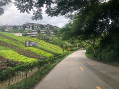 -呀诺达热带雨林