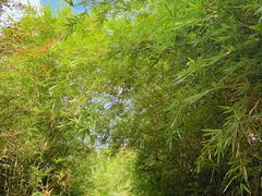 -南山风景名胜区