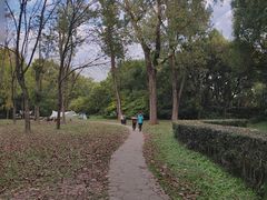 -上海共青森林公园