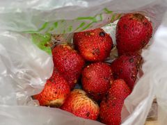 -雪儿钱局泡菜