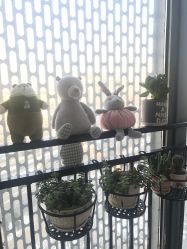 -T·C BEAUTY皮肤管理美容美体工作室