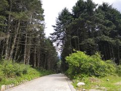 -石棉县孟获城