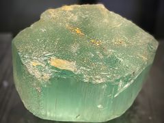-中国地质博物馆