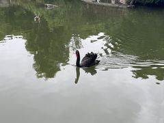 -厦门悦华酒店
