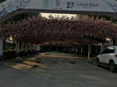 -安飞驰驾校·学车连锁(金高店)