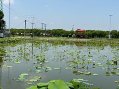 -嘉北郊野公园