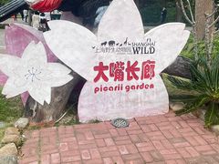 -上海野生动物园