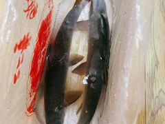 雅鱼-老字号怡玺·藿香雅鱼(20年雅安店)