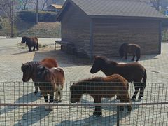 -无锡动物园·太湖欢乐园