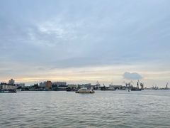 -江边城外烤全鱼(世茂广场店)