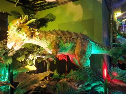 -恐龙探索乐园(磁器口店)