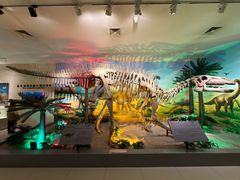 -甘肃地质博物馆