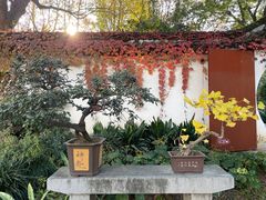 -上海醉白池公园