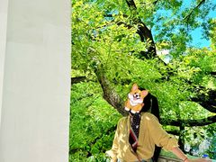 -湖北美术学院(昙华林校区)